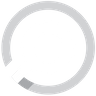 SEO auditas